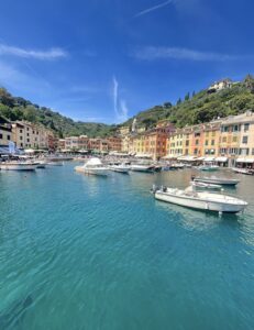 Scopri di più sull'articolo Portofino🐬