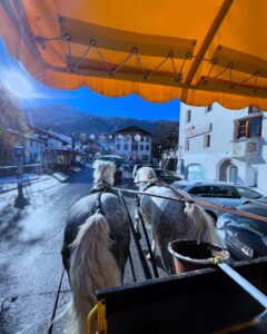 Scopri di più sull'articolo Carrozze in Tirolo❄️🐴